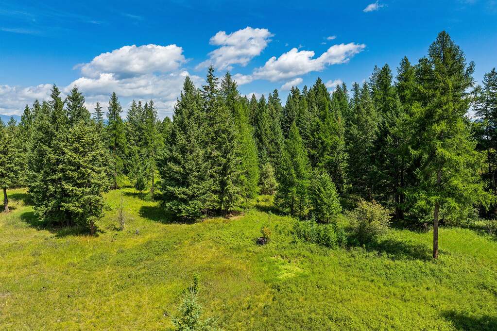 Land/Vacant Land's Image 31