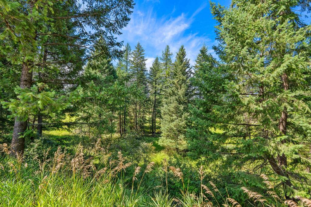Land/Vacant Land's Image 6