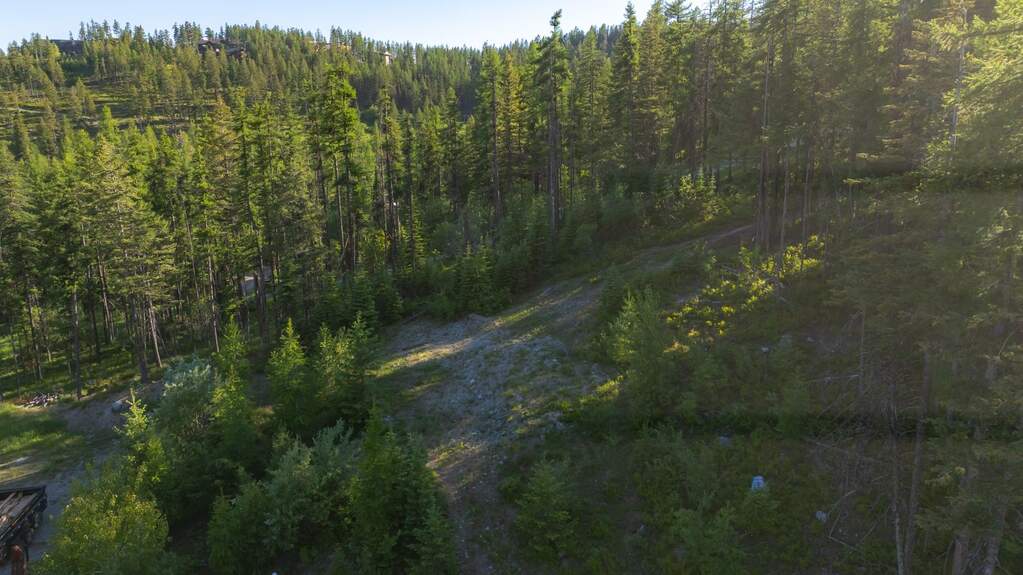 Land/Vacant Land's Image 4