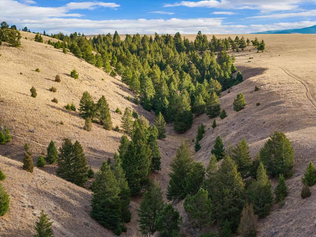 Farm/Ranch/Plantation's Image 9
