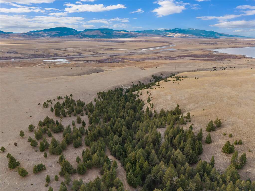 Farm/Ranch/Plantation's Image 18