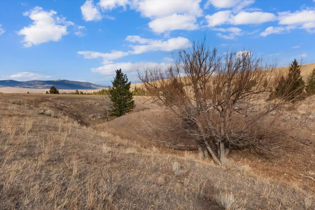 Farm/Ranch/Plantation's Image 3