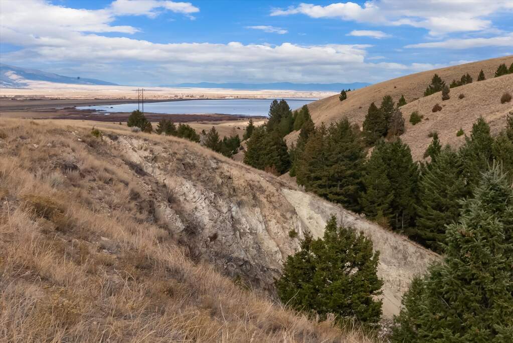 Farm/Ranch/Plantation's Image 5