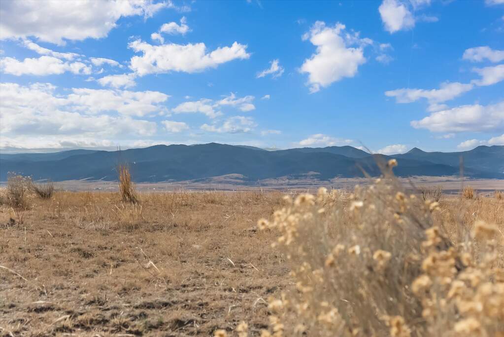 Farm/Ranch/Plantation's Image 6