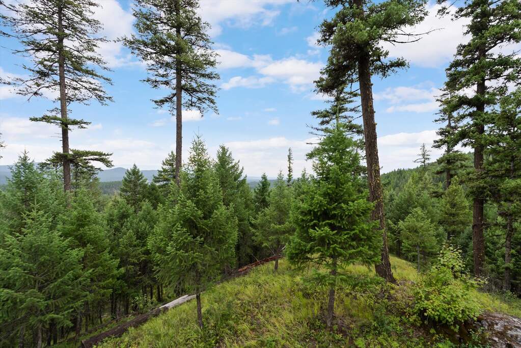 Land/Vacant Land's Image 8