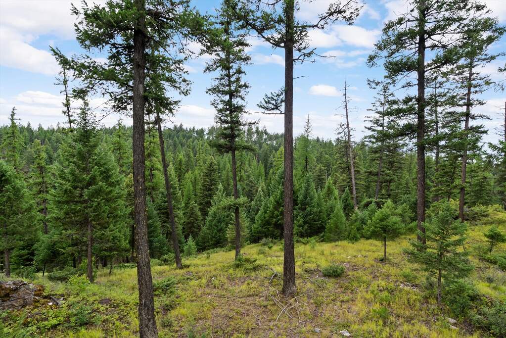 Land/Vacant Land's Image 9