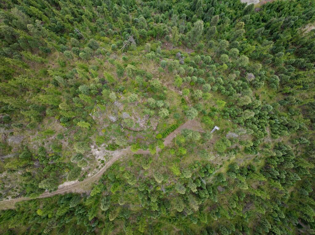 Land/Vacant Land's Image 19