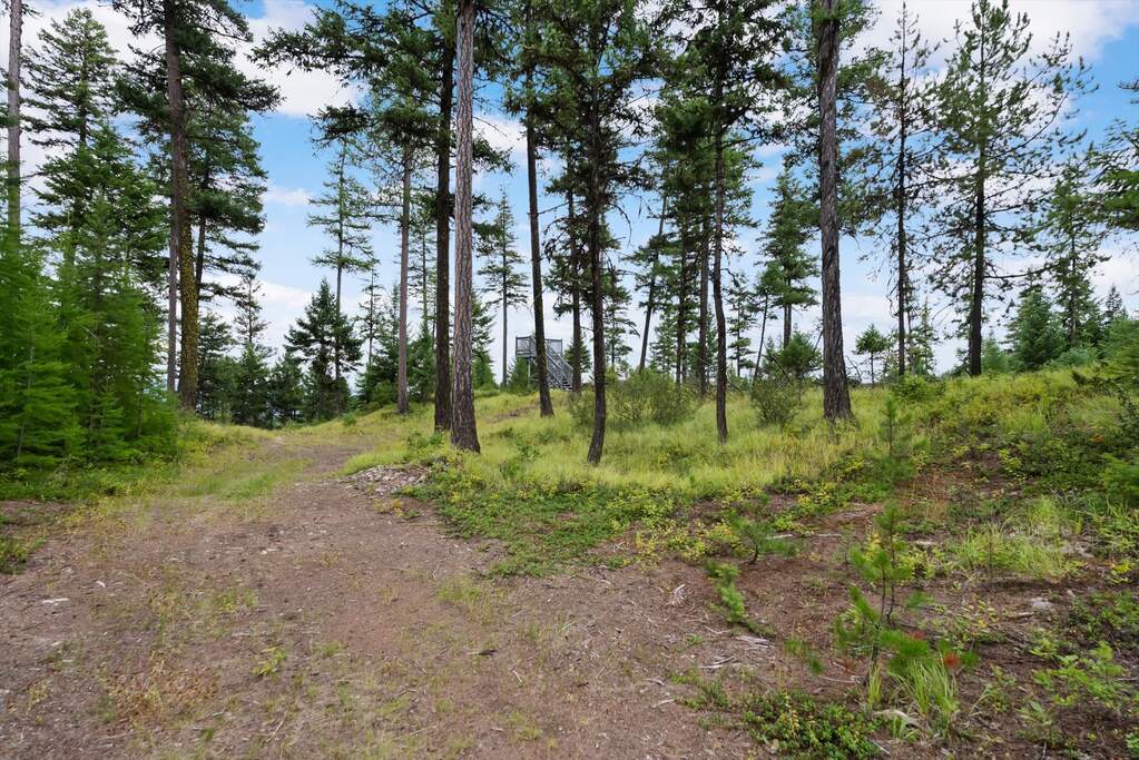 Land/Vacant Land's Image 5