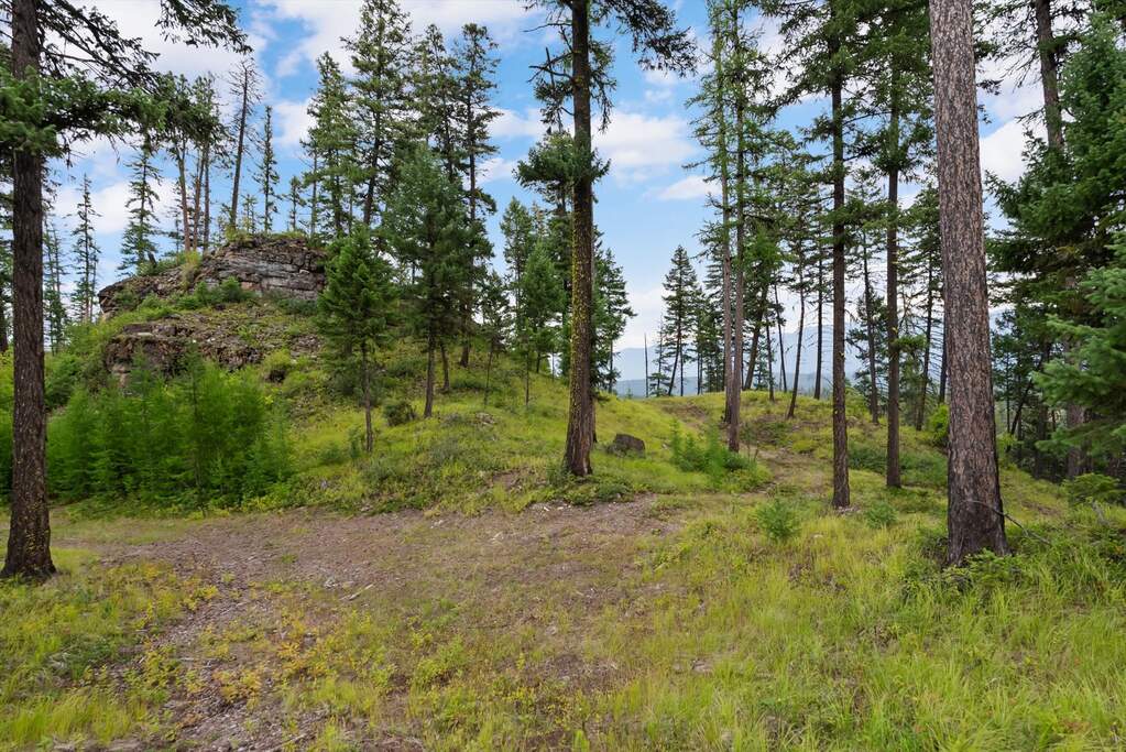 Land/Vacant Land's Image 6