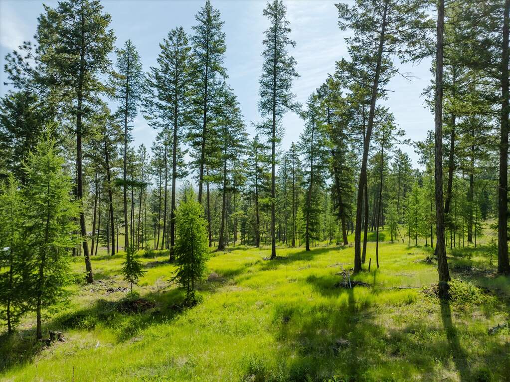 Land/Vacant Land's Image 37