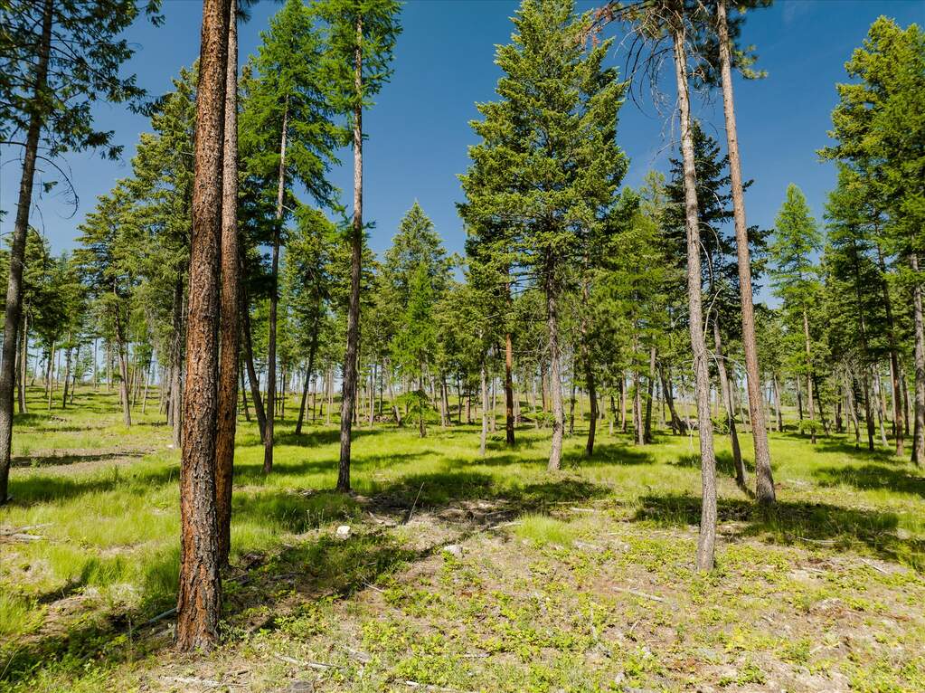 Land/Vacant Land's Image 47