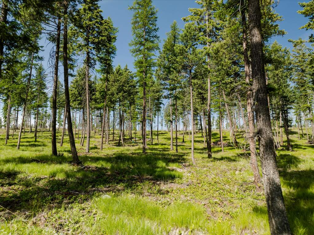 Land/Vacant Land's Image 49