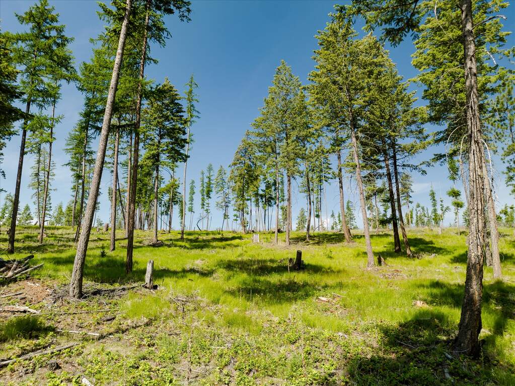 Land/Vacant Land's Image 51