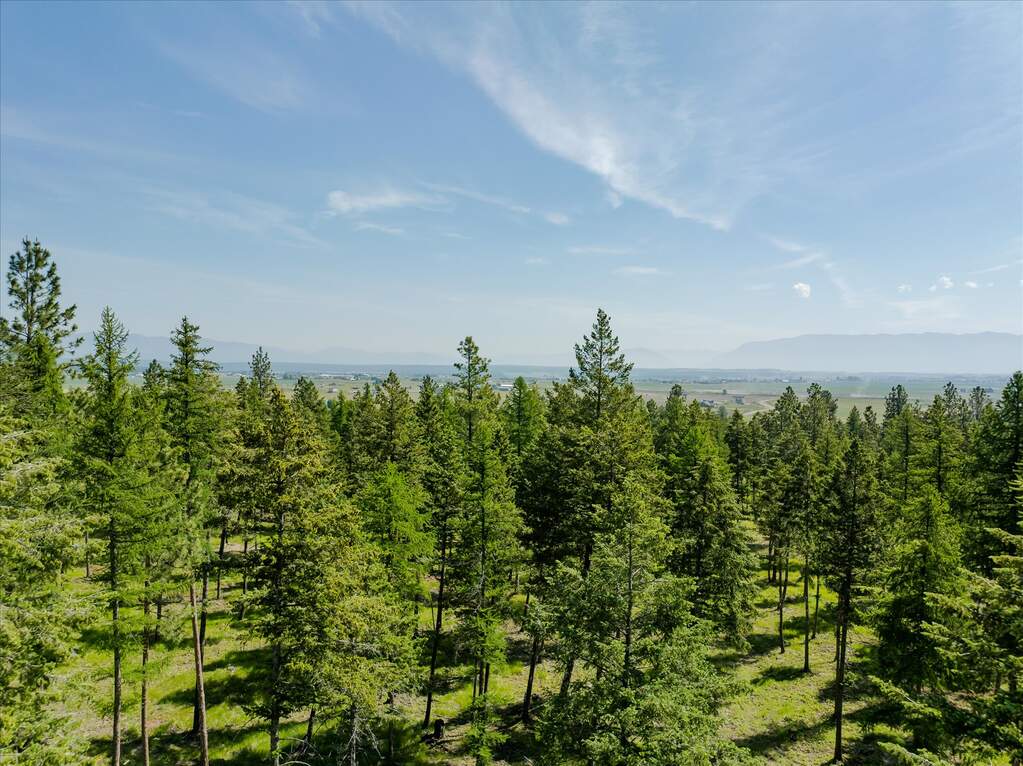 Land/Vacant Land's Image 54