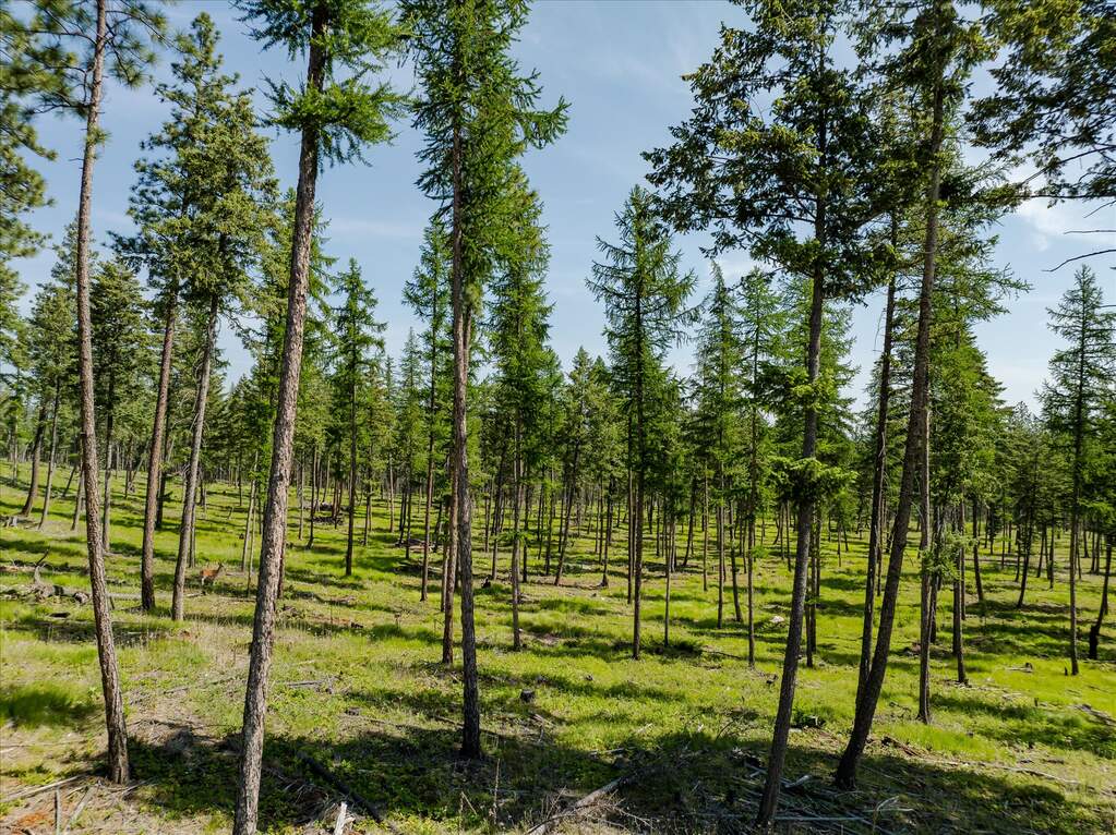 Land/Vacant Land's Image 60