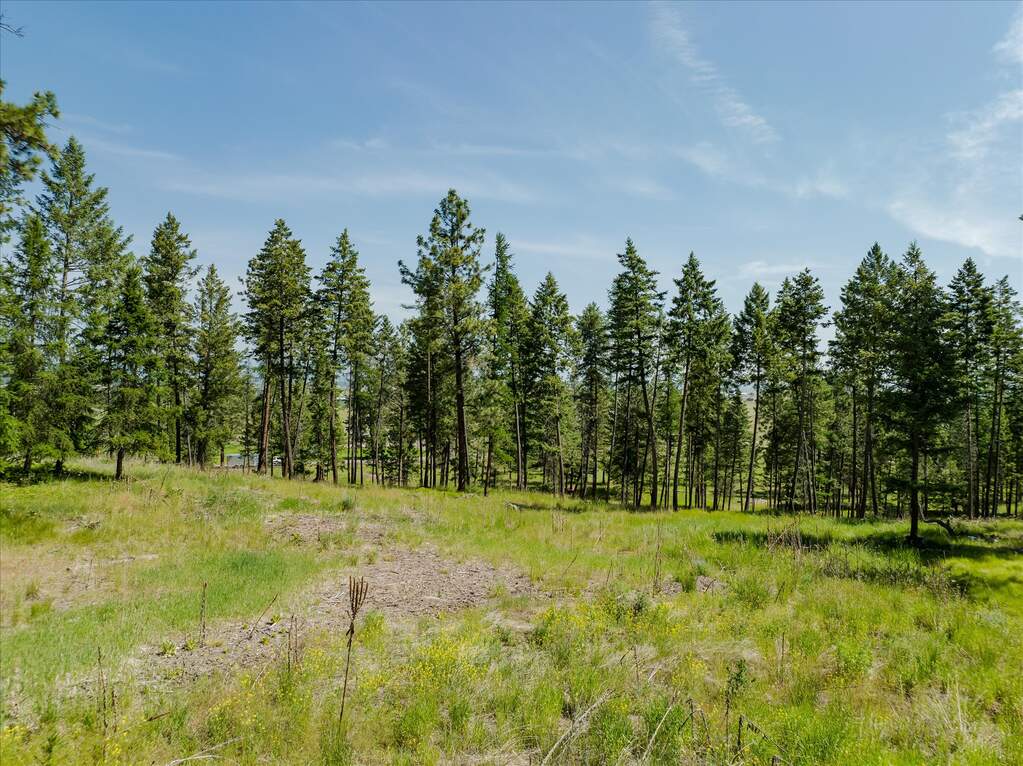 Land/Vacant Land's Image 80