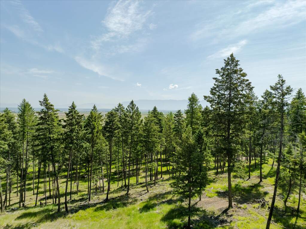 Land/Vacant Land's Image 82