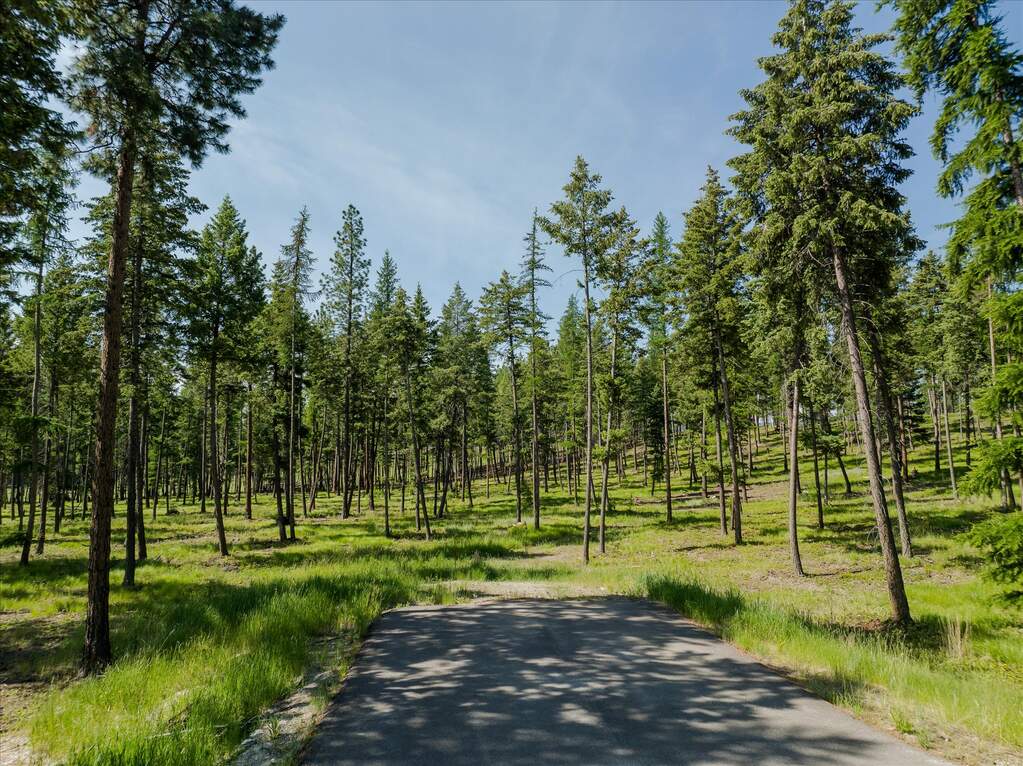 Land/Vacant Land's Image 92
