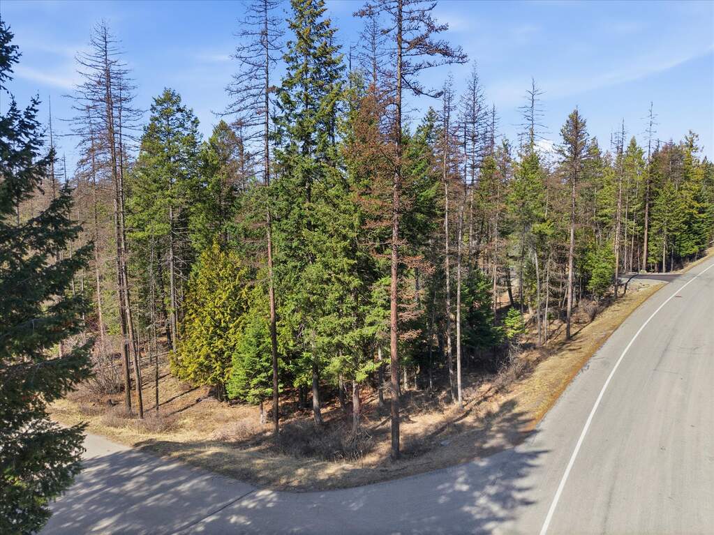 Land/Vacant Land's Image 8