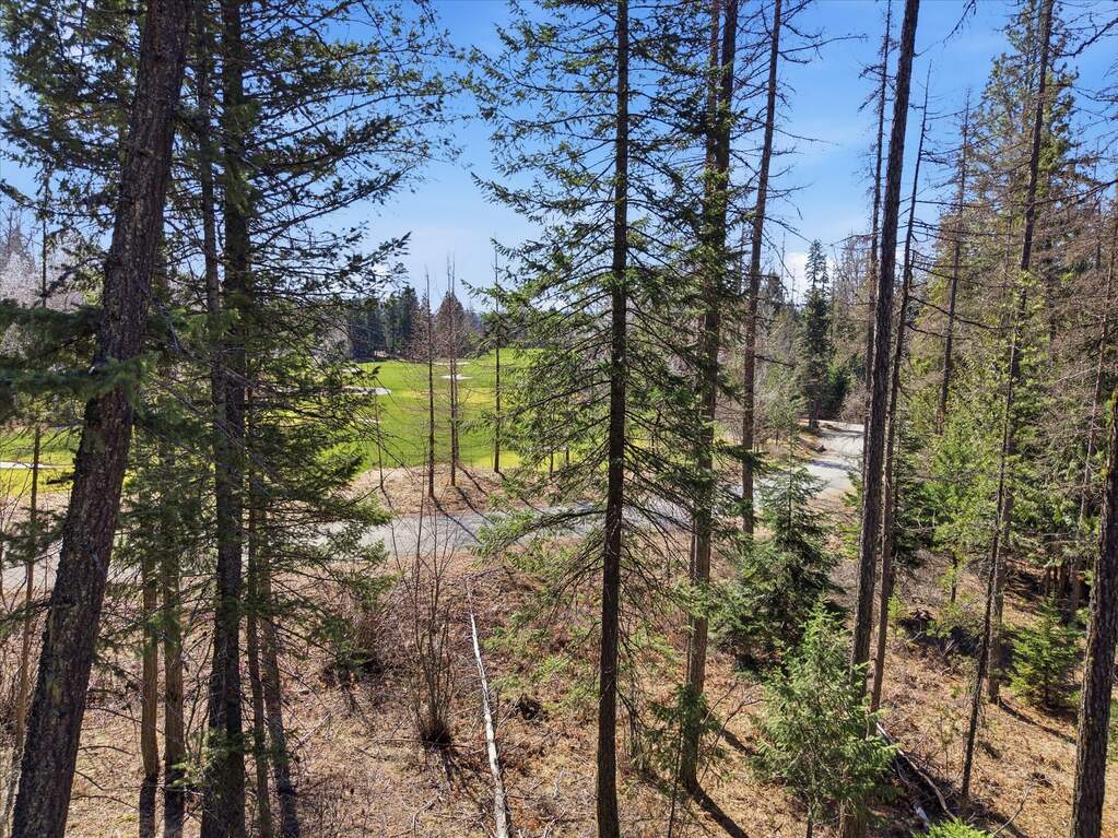 Land/Vacant Land's Image 10