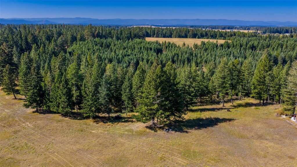 Land/Vacant Land's Image 11