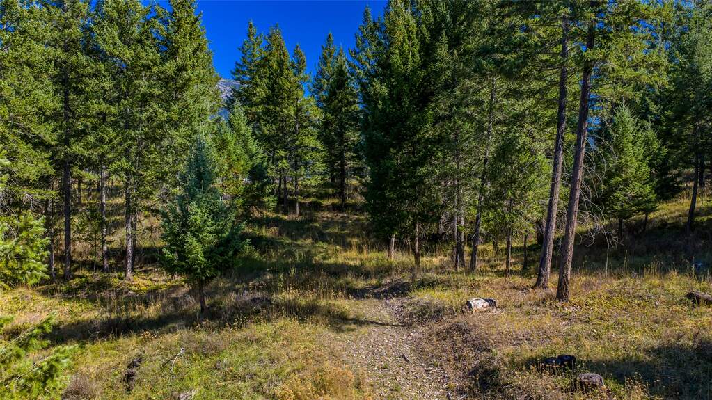 Land/Vacant Land's Image 31