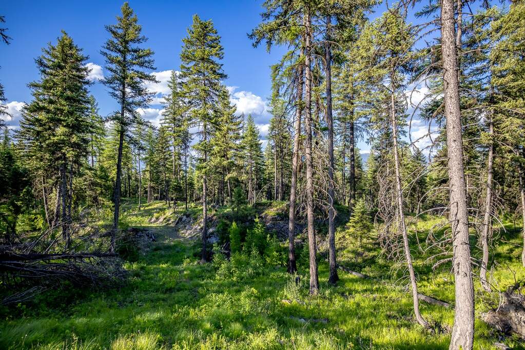 Land/Vacant Land's Image 66