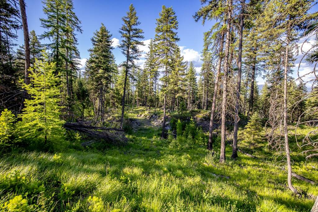 Land/Vacant Land's Image 67