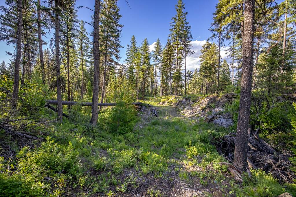 Land/Vacant Land's Image 68