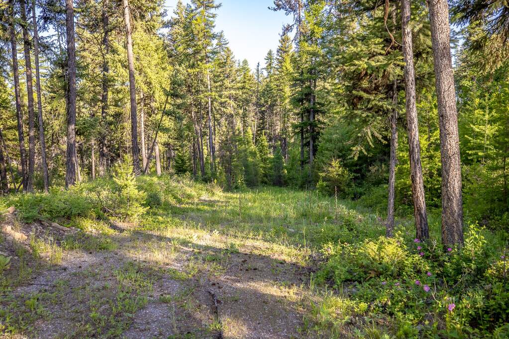 Land/Vacant Land's Image 71