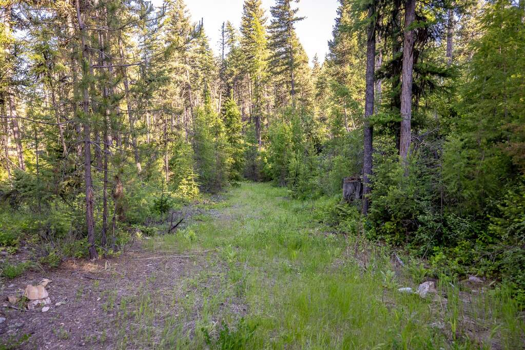 Land/Vacant Land's Image 72