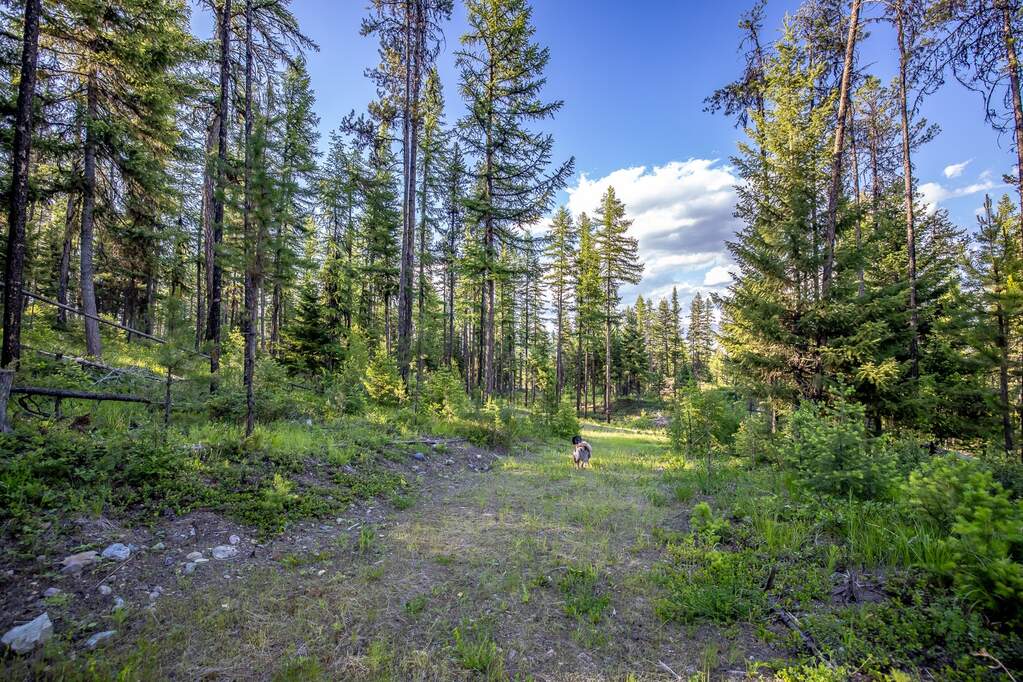 Land/Vacant Land's Image 74