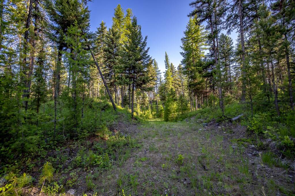 Land/Vacant Land's Image 75