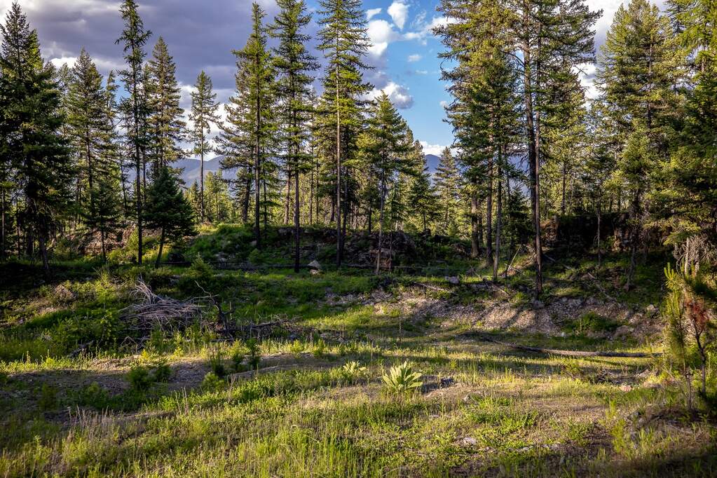 Land/Vacant Land's Image 76
