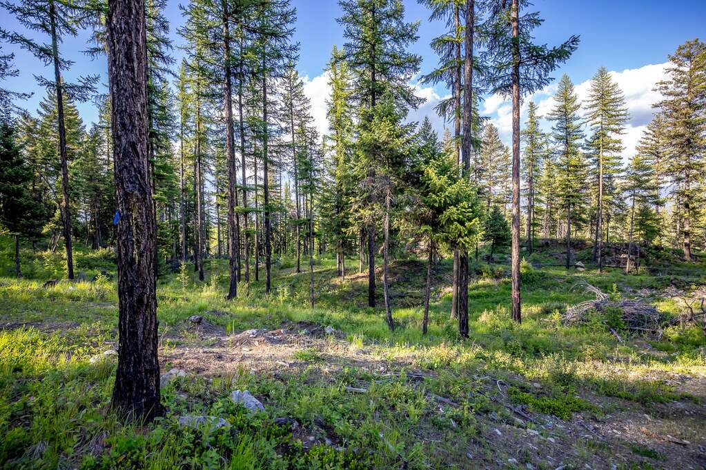 Land/Vacant Land's Image 79
