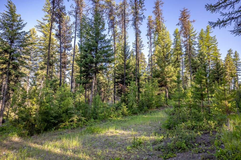 Land/Vacant Land's Image 80