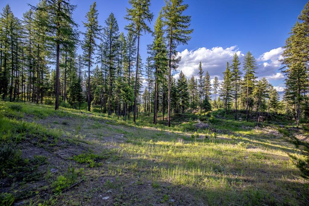 Land/Vacant Land's Image 81