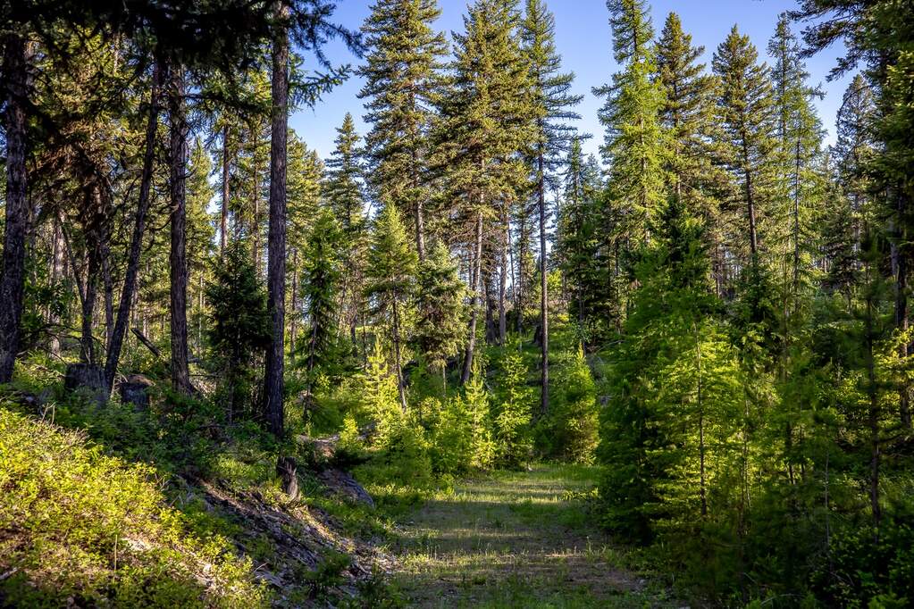 Land/Vacant Land's Image 82
