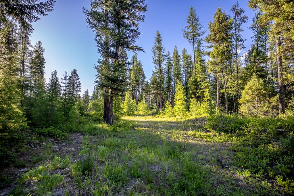 Land/Vacant Land's Image 83