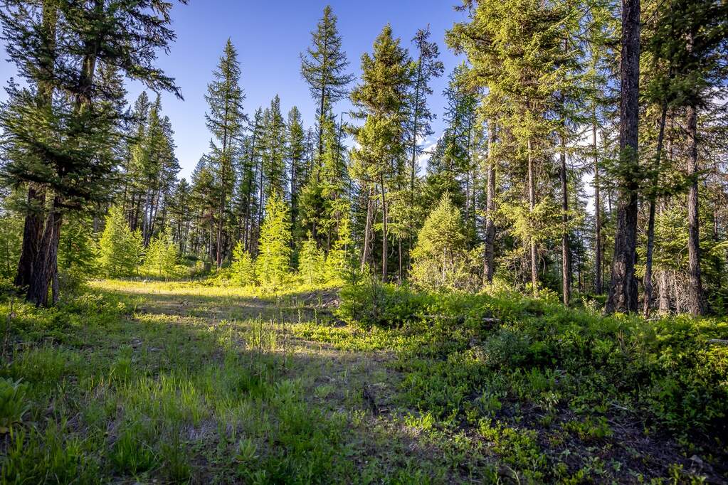 Land/Vacant Land's Image 84