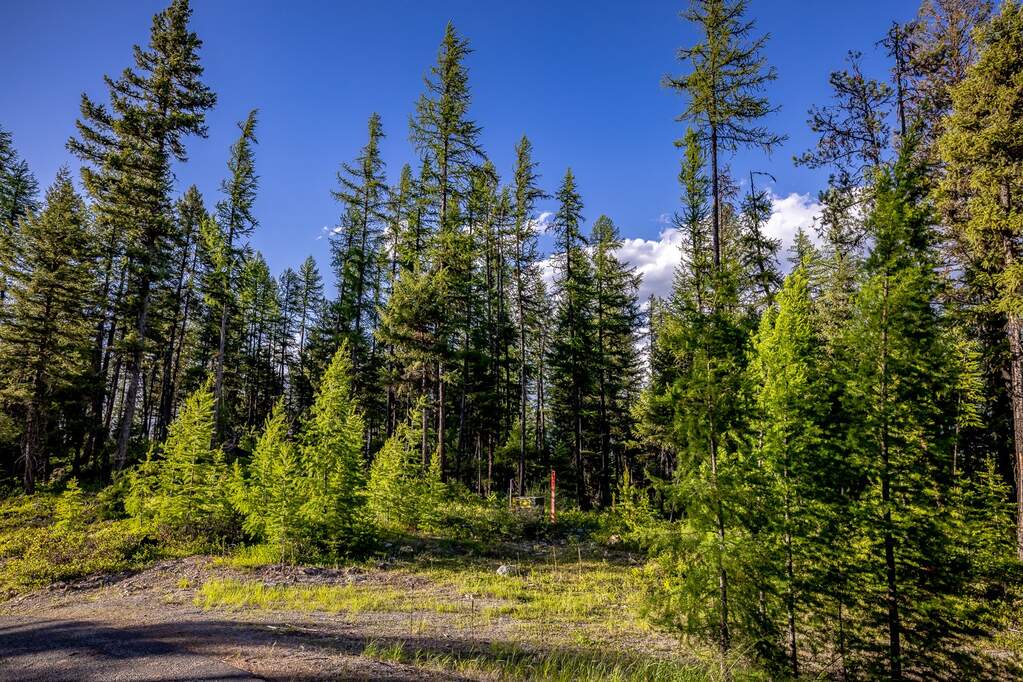 Land/Vacant Land's Image 85