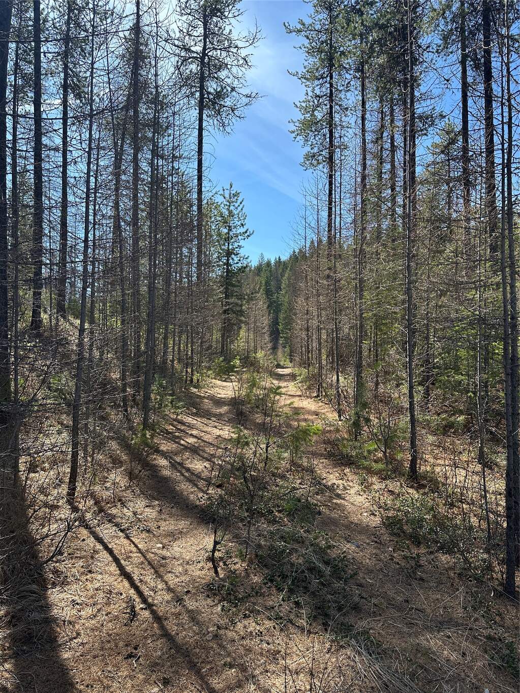 Land/Vacant Land's Image 13