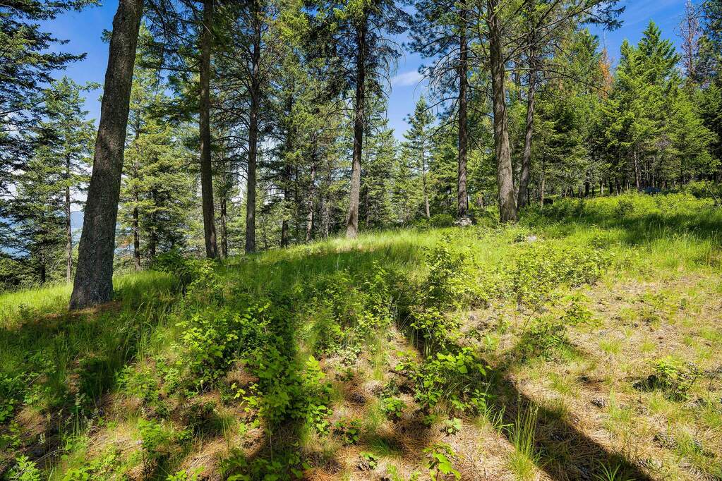 Land/Vacant Land's Image 3