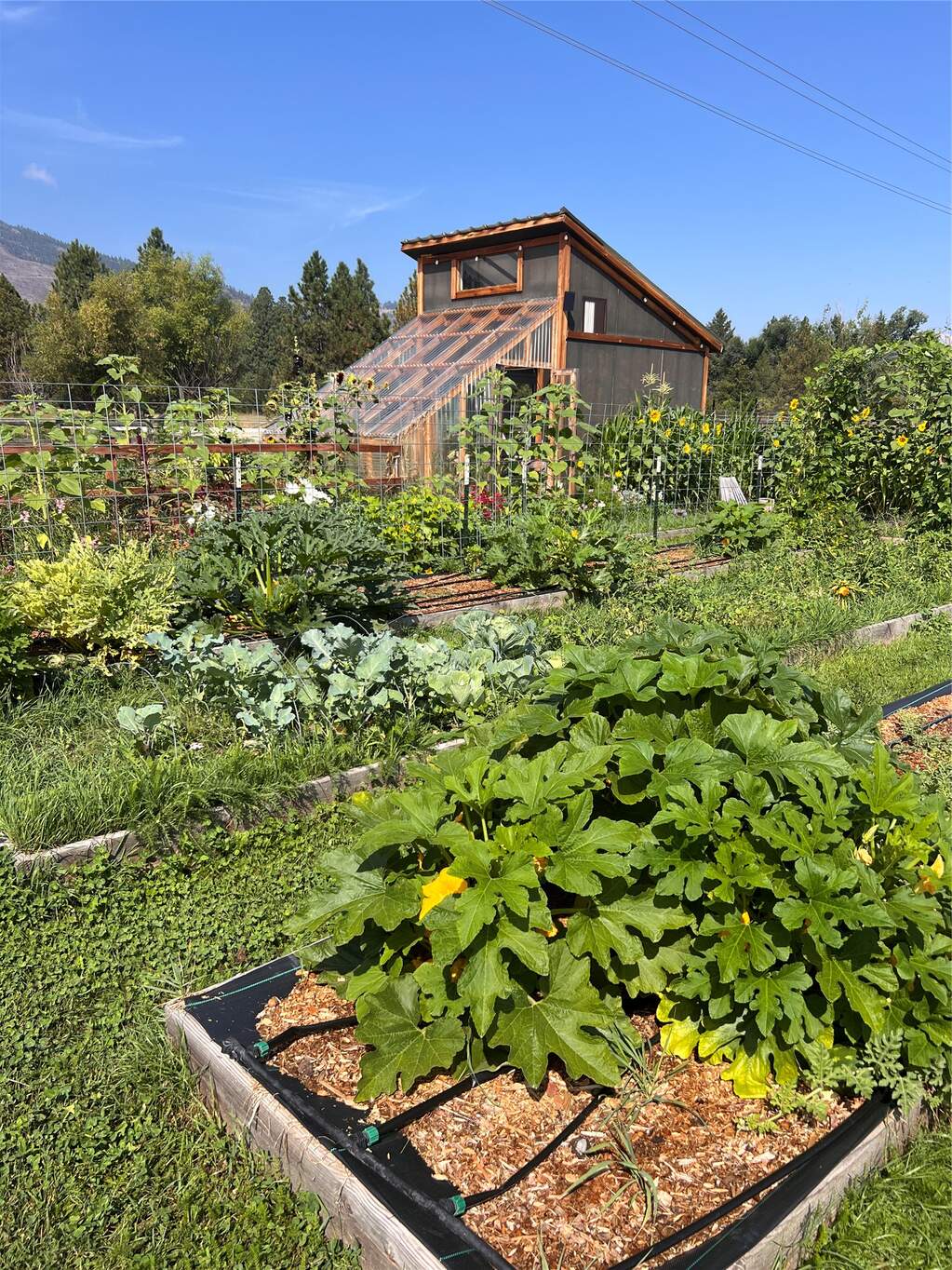 5 Bedroom Single Family Home/House's Image 62