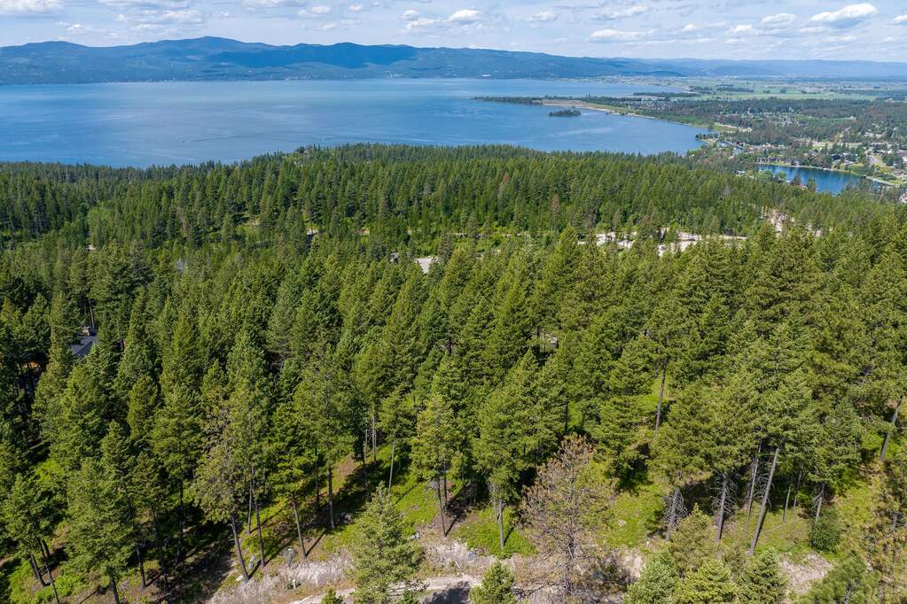 Land/Vacant Land's Image 8