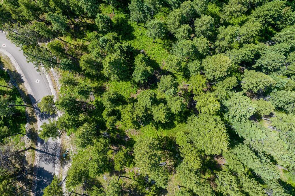 Land/Vacant Land's Image 9