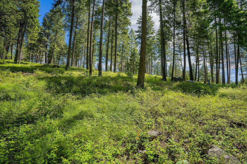 Land/Vacant Land's Image 4