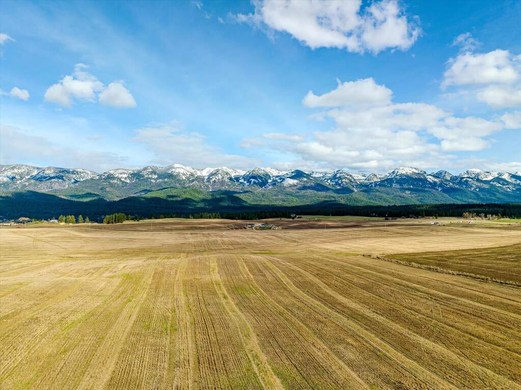 Land/Vacant Land's Image 14