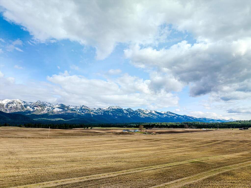 Land/Vacant Land's Image 16