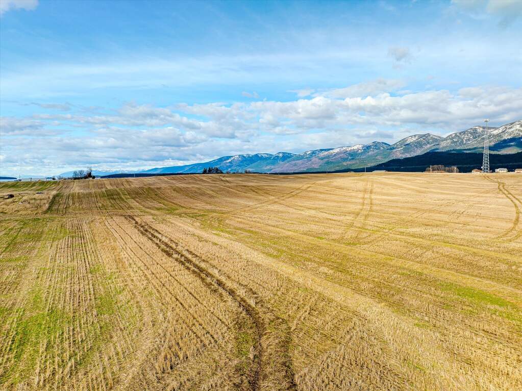 Land/Vacant Land's Image 18